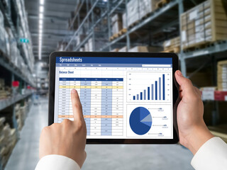 Poster - Spreadsheet document information financial startup concept. data and graphs in spreadsheet documents for online analysis project dashboard accounting digital snugly