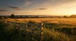 © Arx PhotoStock - Golden Sunset Over Rural Field with Wooden Fence and Birds