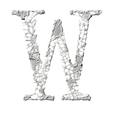 Poster - Lace like letter W design with intricate patterns and textures, showcasing unique artistic style