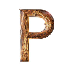 Poster - Decorative letter P made of natural materials, featuring textured design that evokes warmth and creativity