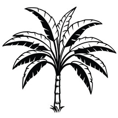 Stylized black and white illustration of a tropical banana tree with lush fronds and a textured trunk standing on a patch of grass