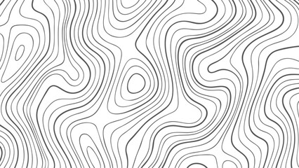 Poster - Black and white topographic map vector lines on a clean white background. Abstract contour pattern for geographic or scientific illustration.