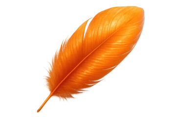 Poster - Single bright orange feather isolated on a transparent background, perfect for design projects requiring a touch of nature