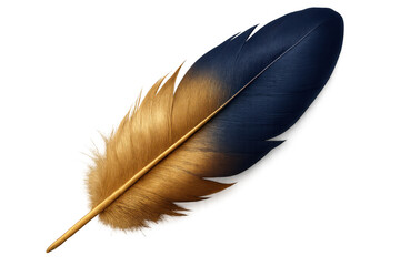Poster - Realistic rendering of a colorful feather with golden and blue shades, isolated on transparent background, ideal for graphic design projects