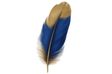 Poster - Delicate blue and gold feather suspended against transparent backdrop, symbolizing ethereal lightness and natural elegance