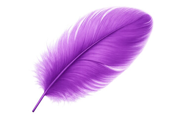Poster - Vivid purple feather resting on transparent surface, highlighting soft texture and delicate structure with elegant visual appeal for design work