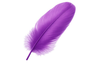 Poster - Single purple feather is gently floating on a transparent background, creating a vibrant and ethereal image