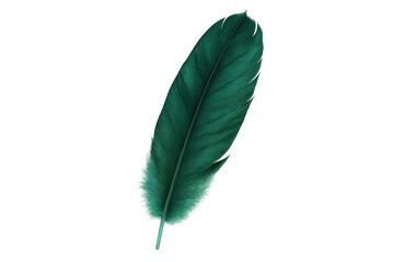 Poster - Single vibrant green feather isolated on a transparent background, perfect for design projects needing a touch of nature