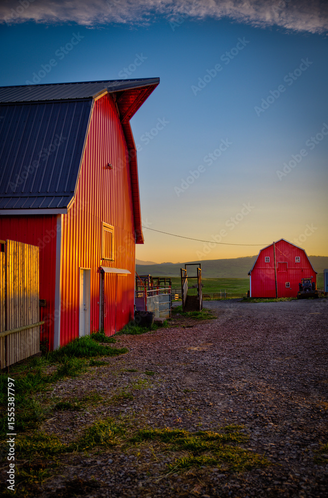 Longview, Alberta - June 8, 2025: Out buildings and landscapes on the ...