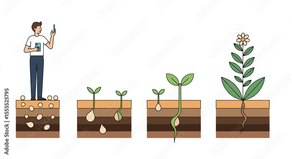 Стоковий вектор Understanding the Life Cycle of a Plant From Seed to ...