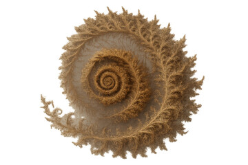 Poster - Golden spiral fractal pattern emerging from soft, delicate feathers, generating mesmerizing symmetrical design on transparent backdrop