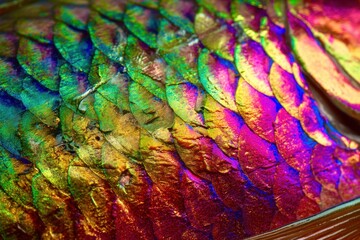 Aufkleber - colorful abstract background
