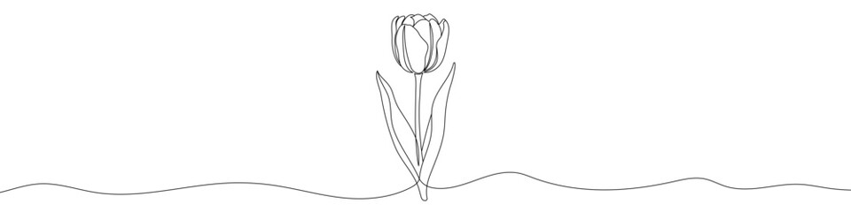 Canvas Print - black tulip in one line art style. tulip drawing with editable stroke on white background. vector il