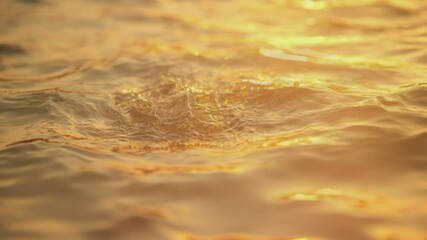 Wall Mural - Golden Water: An eye-level perspective of mesmerizing, golden water reflecting sunlight, with subtle waves. A sense of calm and beauty.