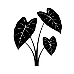Poster - Minimalist Plant Silhouette: A stark, bold silhouette of an exotic houseplant, elegantly captured. Focusing on the clean lines and dramatic shadows, a modern decor accent.