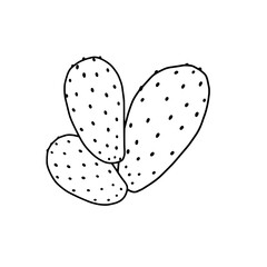 Poster - Cactus Illustration: A simple and elegant illustration of a cactus, featuring a clean design and a focus on the natural form.