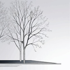 Poster - Drawings, Minimal style cad tree line drawing, Side view, plan and section forest outline symbol for landscape design drawing. Vector illustration in stroke fill in white
