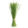 © FachriDev - A bunch of fresh chives tied with a band.