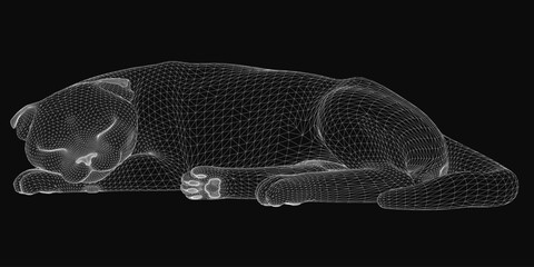 Poster - A sleeping cat rendered in detailed 3D wireframe style, curled up peacefully on a black background. The digital mesh creates a realistic yet futuristic look, highlighting the feline's relaxed posture.