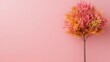 © Abul - Pastel Pink Autumn Tree Minimalist Background