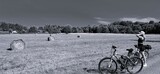wręcza obok Santiago w Mszczonowie
