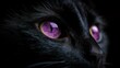 © Kristina - Glossy black cat's eyes glow with a vibrant purple hue against a dark background, showcasing mysterious allure and enchanting beauty