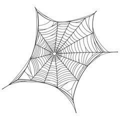 Wall Mural - Spider web line art vector eps