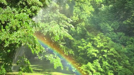 Poster - Rainbow forms in sunlight through water spray from sprinkler system in green park landscape background
