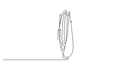 Aufkleber - Self drawing line animation corncob Vegetables corn continuous one single line drawn concept, Fresh maize concept starchy vegetable icon. Full length one line animation