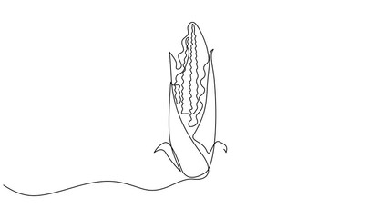 Aufkleber - Self drawing line animation corncob Vegetables corn continuous one single line drawn concept, Fresh maize concept starchy vegetable icon. Full length one line animation