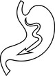 © Awais - Stomach organ icon biology digestion function. contains gastric juice to aid digestion and ascend to the intestine. Stomach ache, healthcare symbol. Anatomy, healthy. silhouette Outline, flat design.