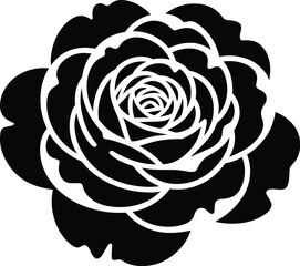 Poster - Rose vector graphic black and pink flower illustration floral design element blossom bloom isolated on white editable vector illustration with png format
