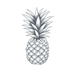 Poster - Monochrome Pineapple Illustration on Black Background: Tropical Fruit Graphic