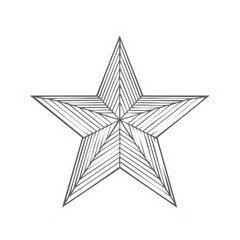 Poster - Five Point Star White Border Gray Lines Elegant Design Celebration Decoration Graphic