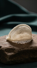 Poster - Off-white bird nest on brown stone, showcasing delicate, wavy texture.  Represents natural beauty, fragility, and luxury