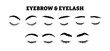 © Yumagema - Set of Beauty Eyebrow and Eyelashes Set Collection, Natural Eye Makeup Look, Fashion Glamour Salon Elements, Woman Closed Eye Symbol Silhouette, Vector Illustration.