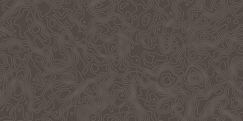 Poster - modern topographic map displays contour lines, indicating elevation changes across the surface. it is an abstract representation of terrain, with subtle variations in color.