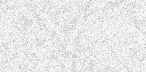 Poster - Topographic white and bright light grey stylized line essential for effectively communicating the focus and scope of a map or survey. A well-crafted provides clarity on the geographic area.