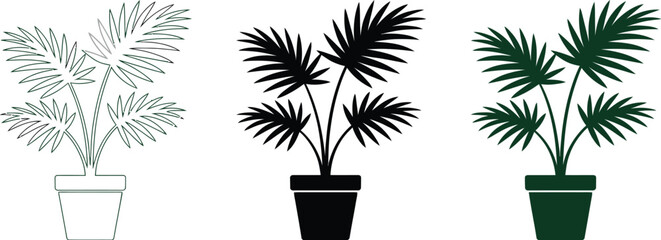 Poster - Palm plant vector illustration set isolated on white background indoor houseplant line art silhouette foliage editable vector illustration with png format