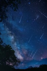 Wall Mural - Vertical view of night sky with long meteor streaks, copy space at bottom, designed for poster or overlay use.