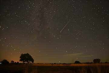 Wall Mural - Meteor shower visible in pure rural sky, no city lights, dense stars and clean air, ideal for nature and astronomy themes.