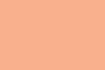 Poster - Peach colored background is being shown in flat design, highlighting smooth solid tone, copy space