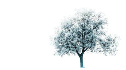 Poster - Transparent-leaf tree with bioluminescence, Transparent background, PNG file