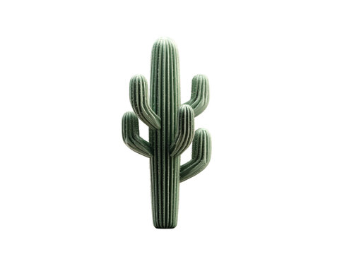 Saguaro cactus isolated on black background botanical desert plant, Isolated On Transparent Background, Cut Out