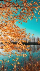 Wall Mural - Autumn Forest woods lake . Amazing Landscape Woodland Slider Time Lapse, Time-lapse. wide angel, tranquil motion. Autumn River Landscape At Sunset. Sun Shine Over Blue Water Lake Or River At Sunrise