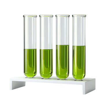 test tube on the rack isolate on white background
