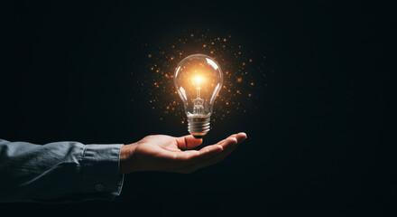 Wall Mural - Glowing Lightbulb Held in Hand with Sparkling Particles Against Dark Background Symbolizing Innovation and Creative Idea for Business Solutions