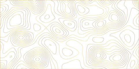 Fototapete - Abstract white golden gradient Topographic line map pattern background. Contour elevation topographic and textured Background Modern design with White background with topographic wavy patte.	