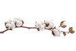 © Umer - Cotton Branch Beauty Floral Still Life Fiber Art White Bloom Soft Texture Organic Elegance Nature s