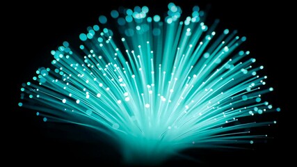 Poster - Abstract teal fiber optic light burst on black background, technology concept, glowing futuristic design, vibrant color, clean, and modern aesthetic.